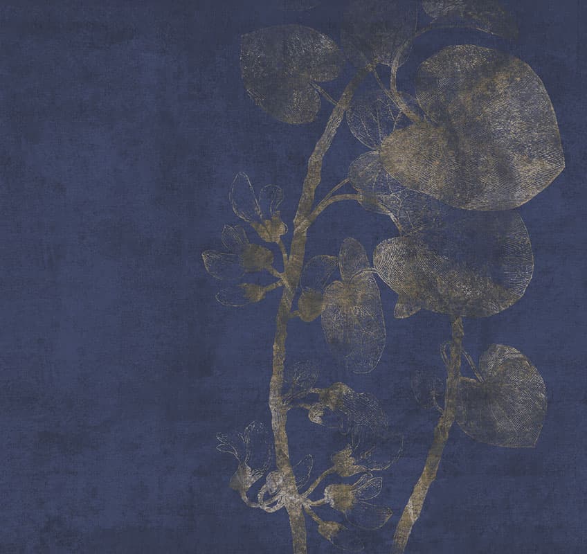 Zumb — 16098-02A