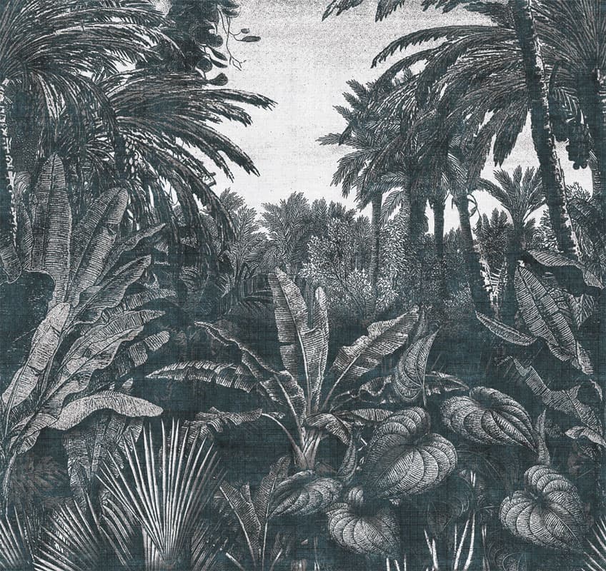 Tropical Mornings, 17016-2
