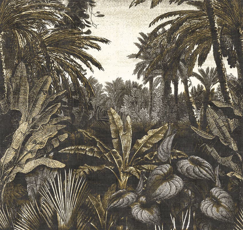 Tropical Mornings, 17016-3