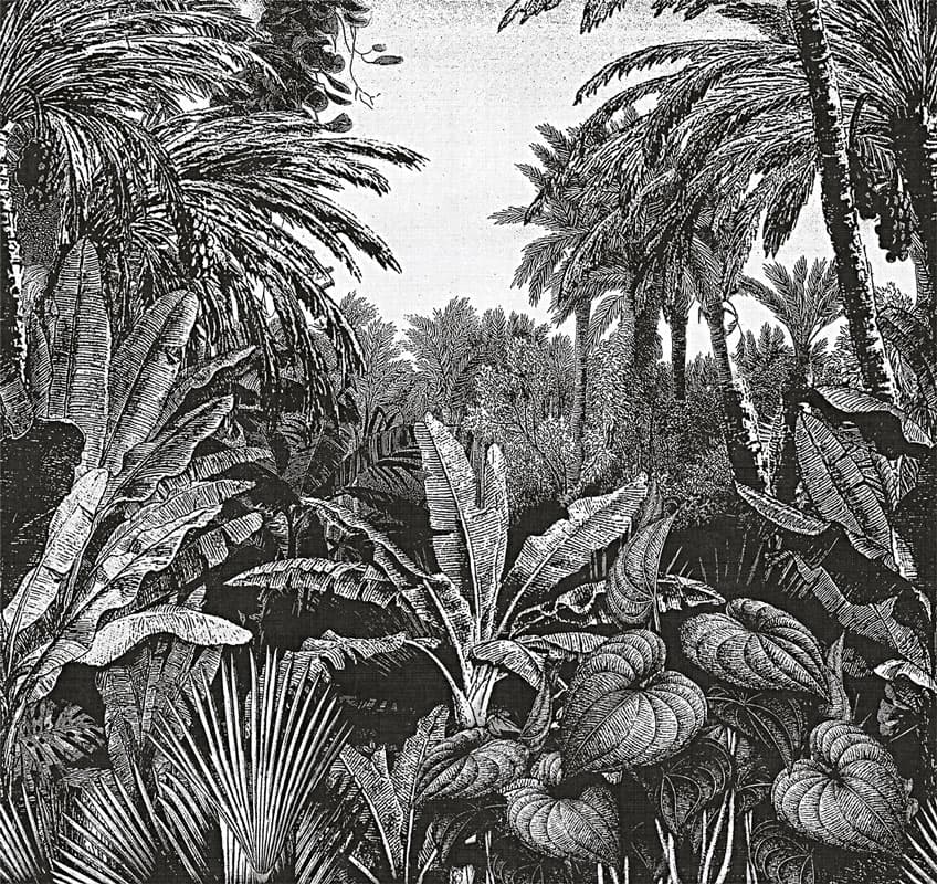 Tropical Mornings, 17016-4