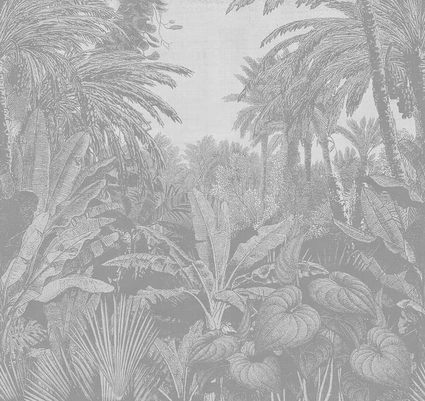 Tropical Mornings, 17016-5