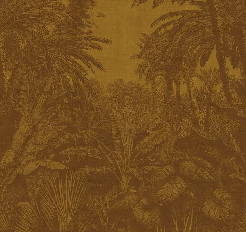 Tropical Mornings, 17016-7
