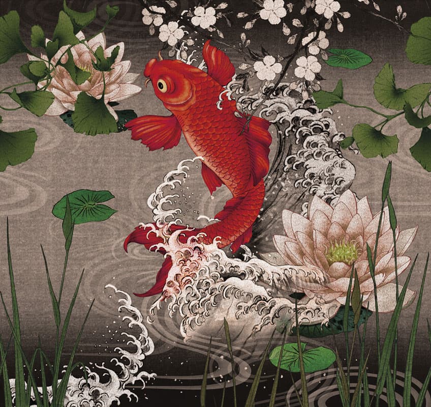Koi, 17018-2