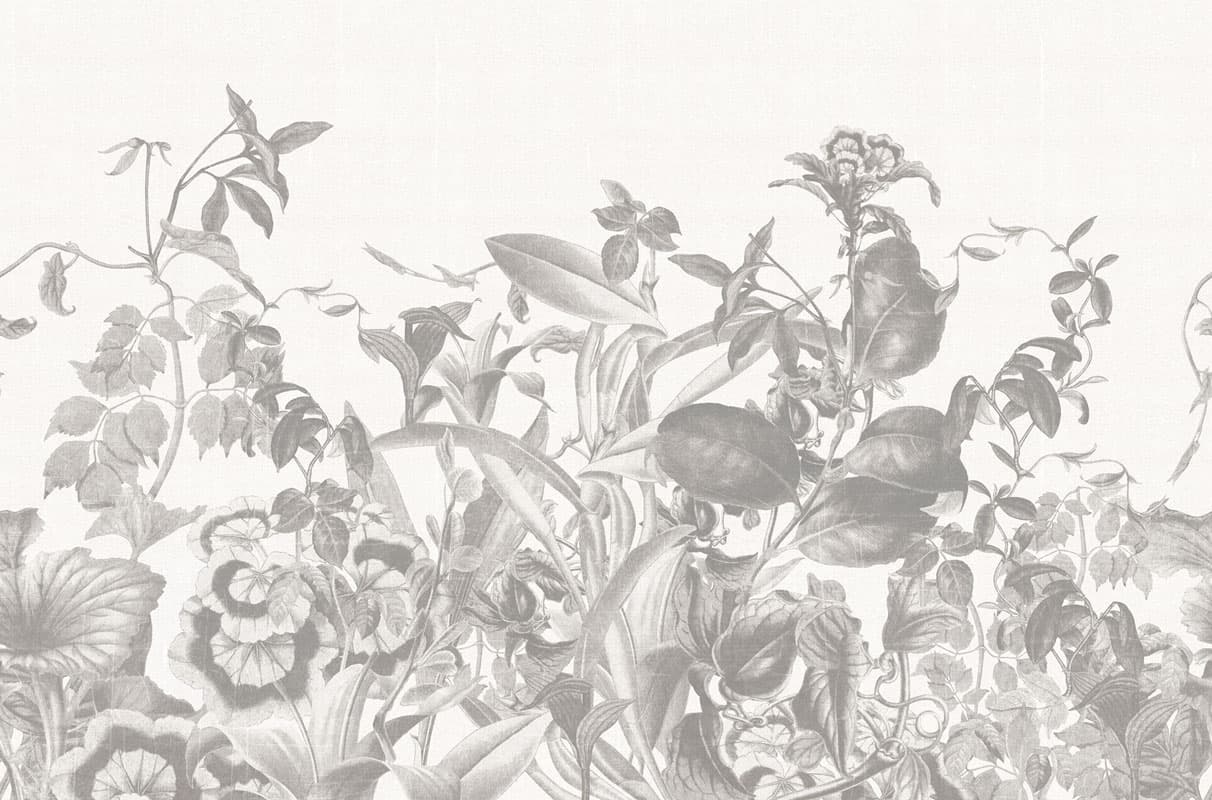 Herbarium — 17060-03