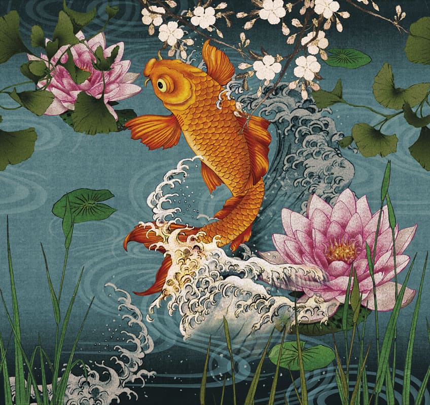 Koi — 17018-1