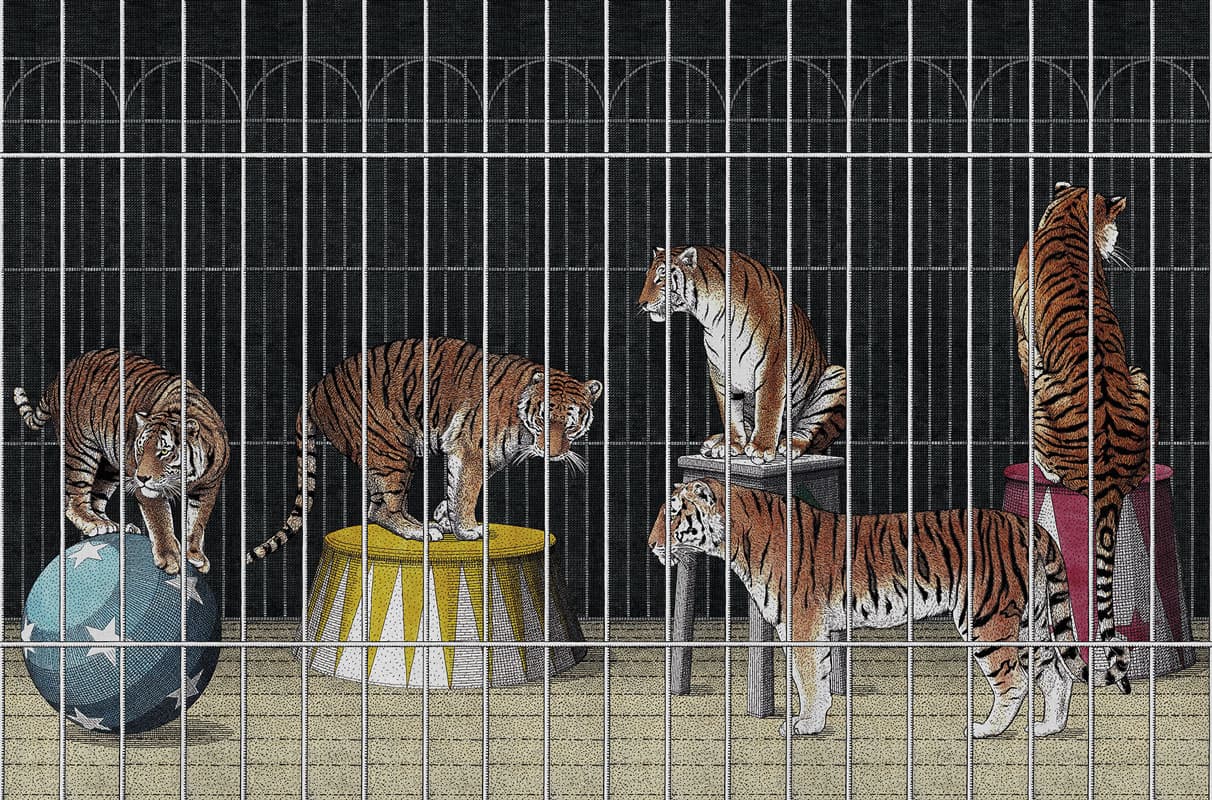 tigers by Unknown