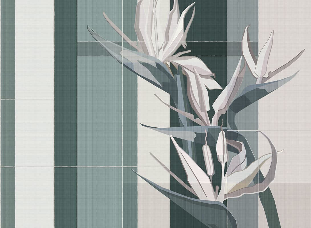 Strelitzia — 21012-05