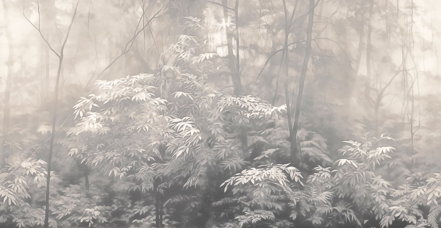 Into the Woods by Nicola Bottegal