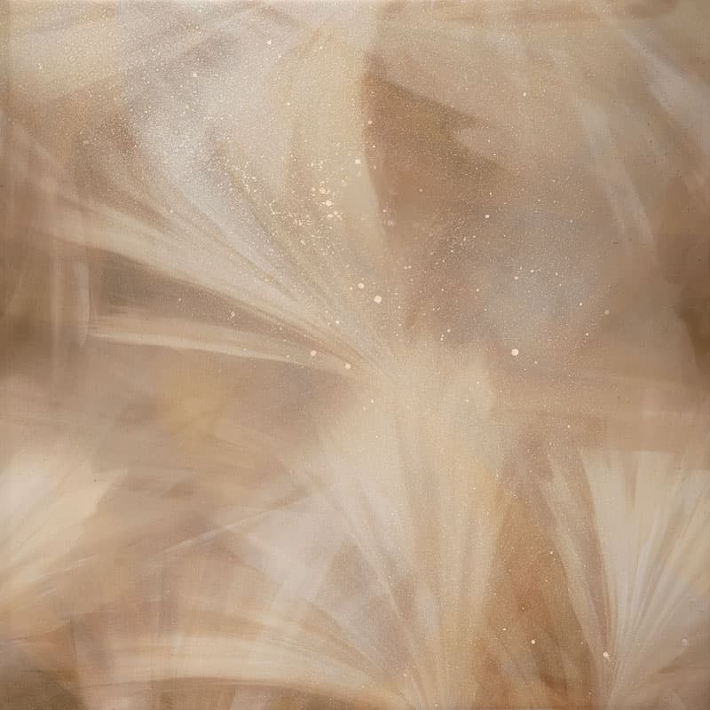 Desert Veil — EWP1013-1