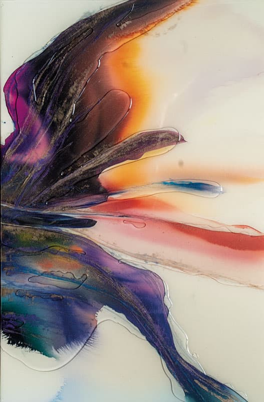 Pure Joy — EWP1018-1