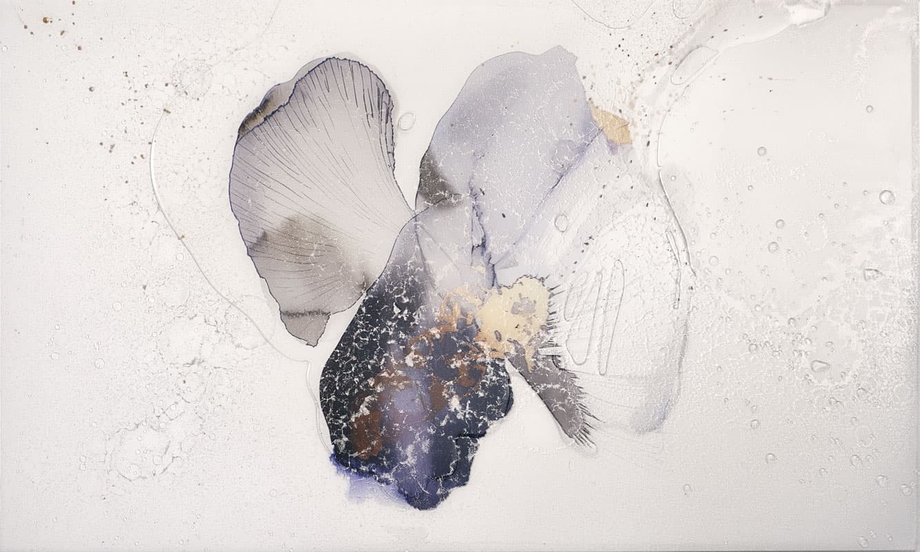 Silent Chroma — EWP3000-1