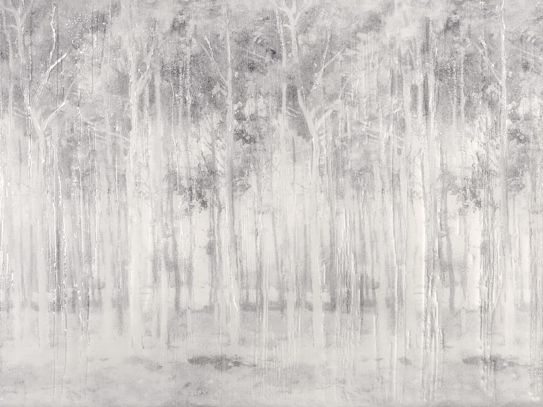 Silent Forest — EWP3004-1