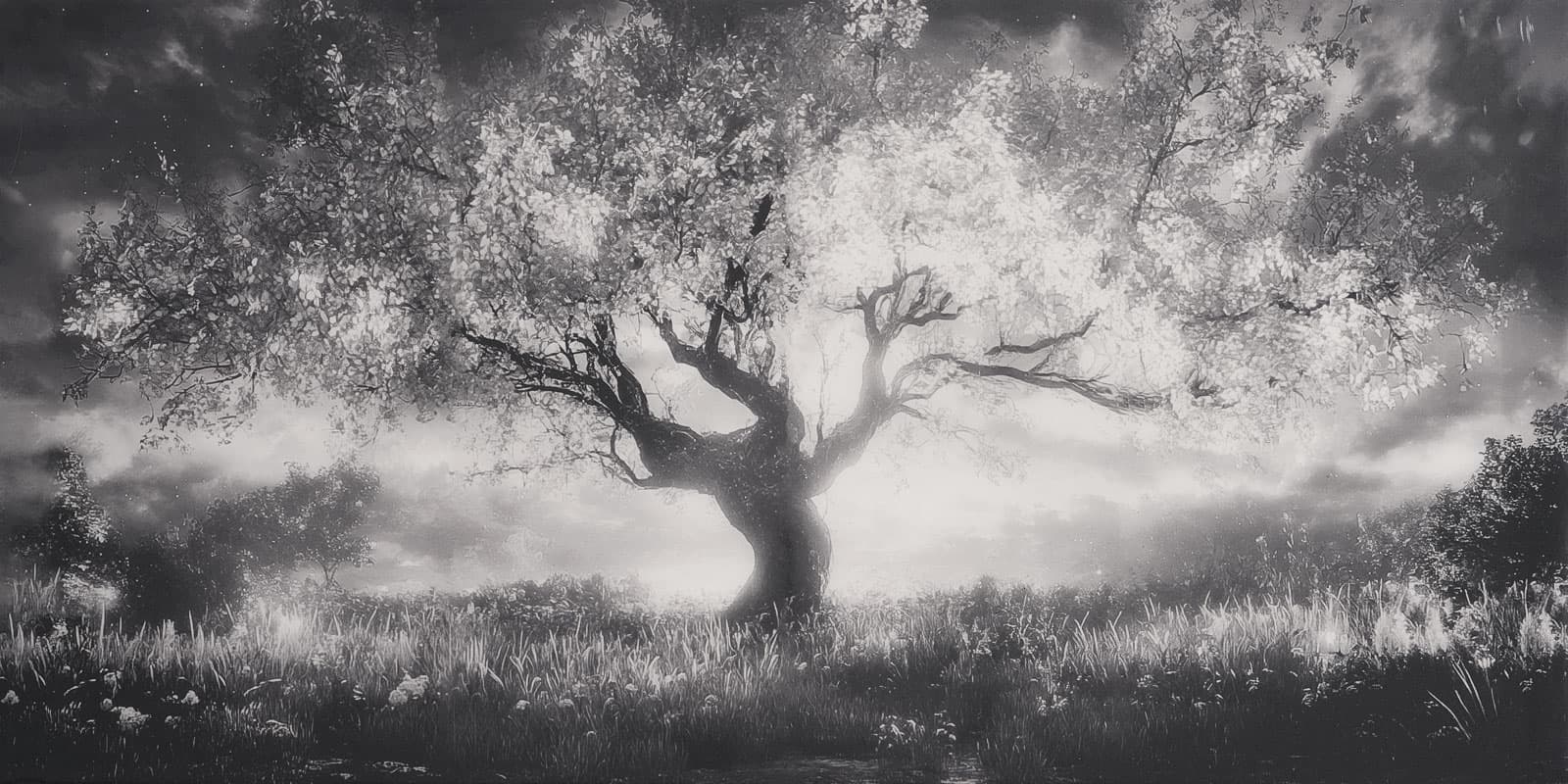 Arbor Vitae — EWP3011-2