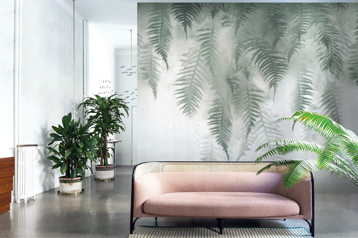 The Breath of Ferns by Francesca Besso, in a room