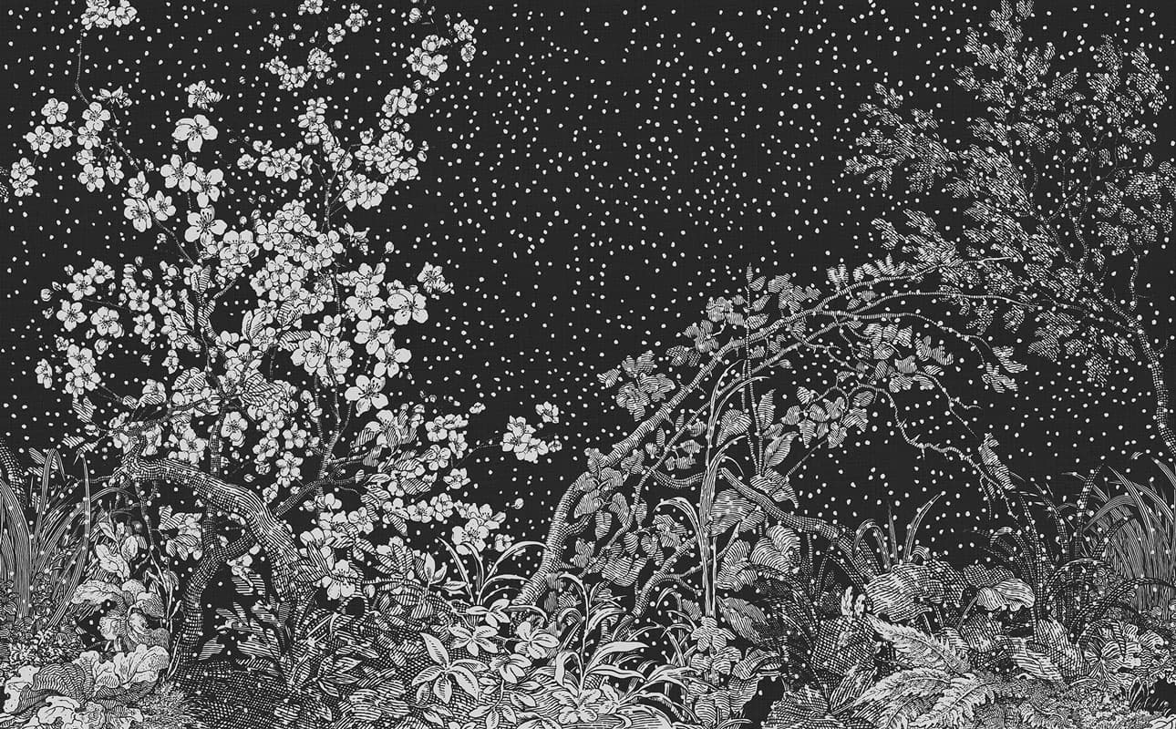 Hiyoku — KMN02-C