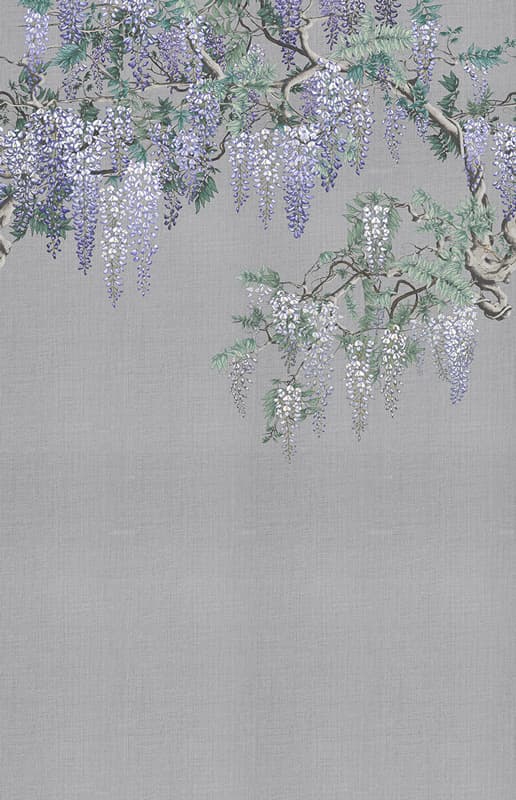 Iromuji — KMN07-D