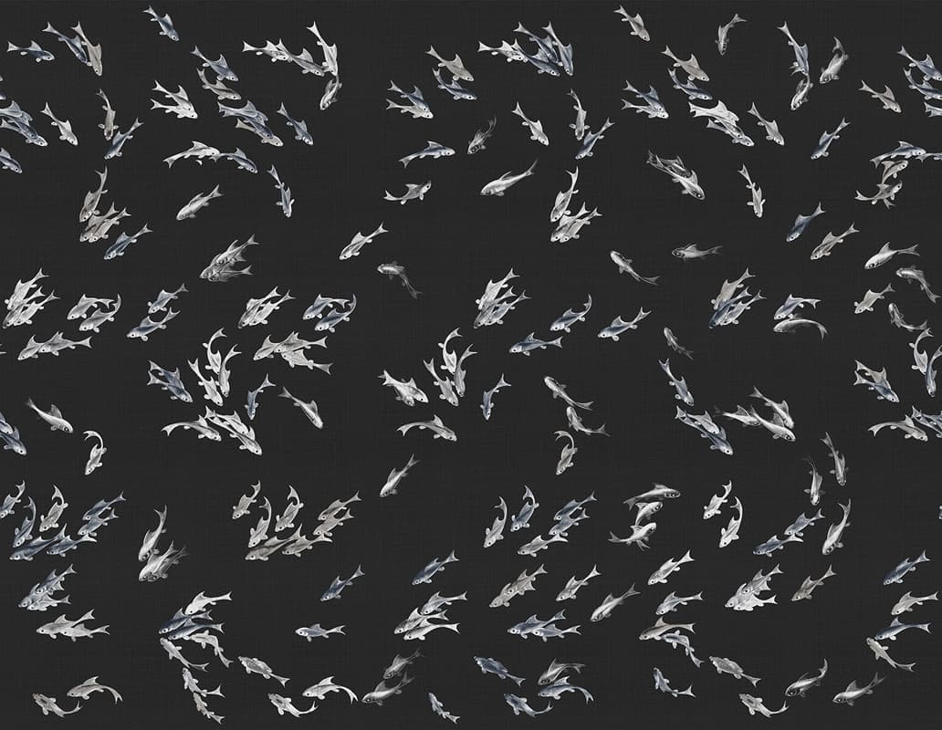 Hakma — KMN11-C
