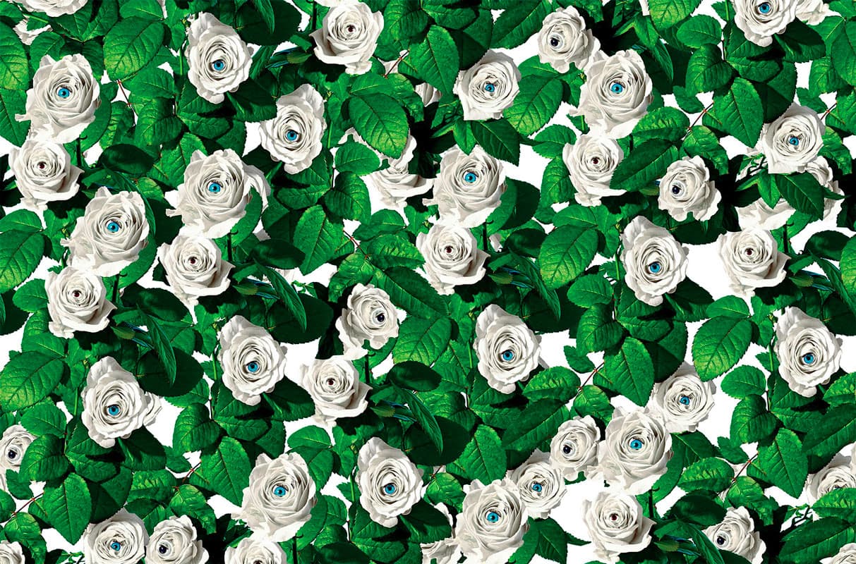 EYES & ROSES — 11TP-02