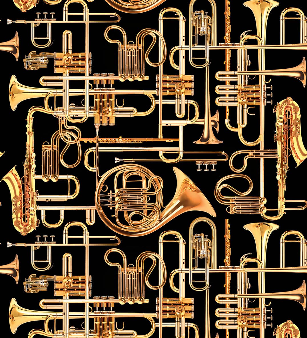 DONALD TRUMPET by TOILETPAPER