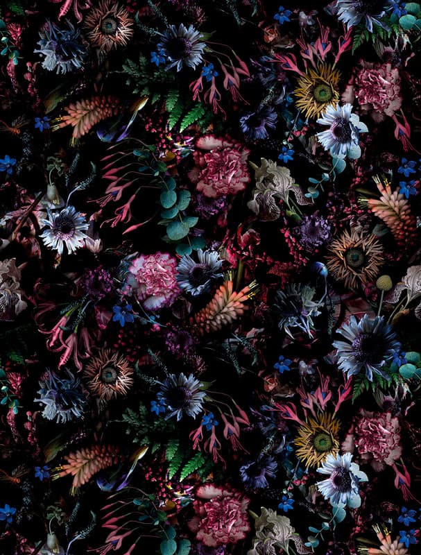 Rio by Marcel Wanders