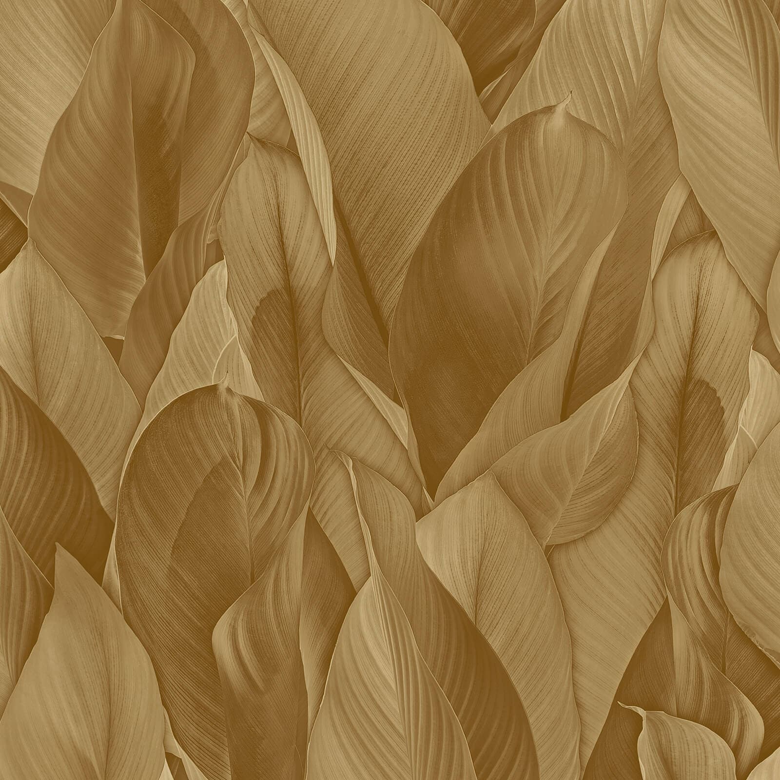 Architexture, Z57701