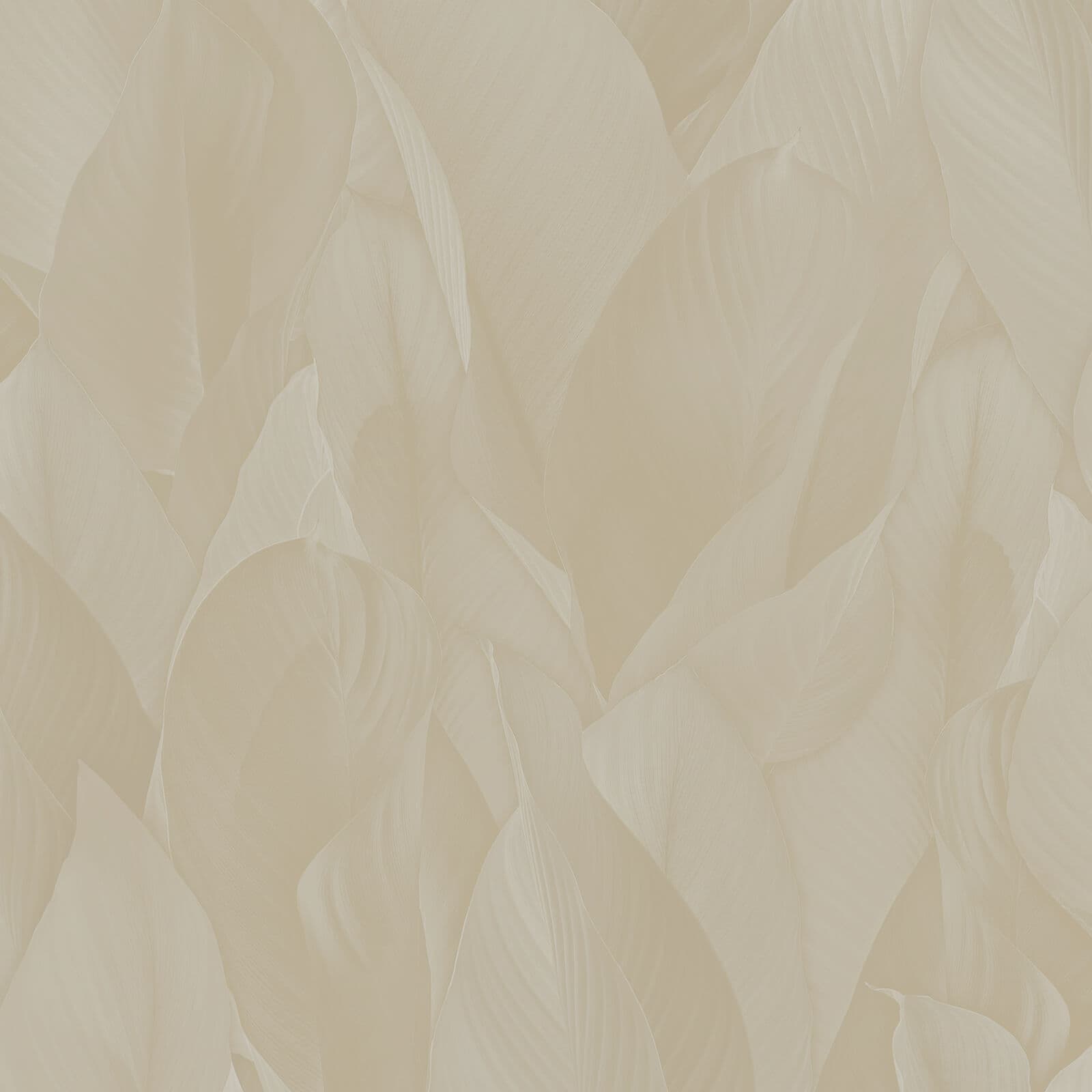 Architexture, Z57704