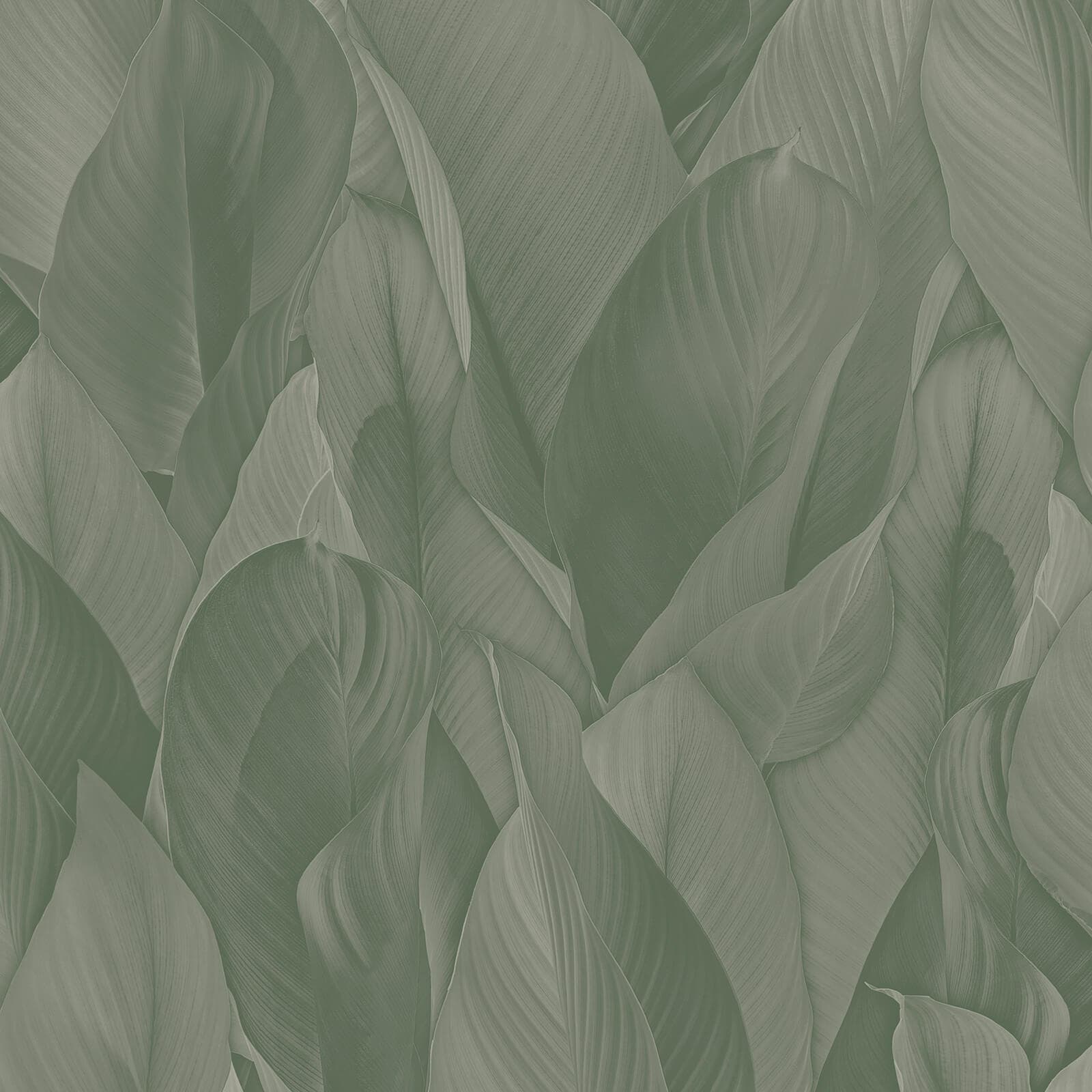 Architexture, Z57705
