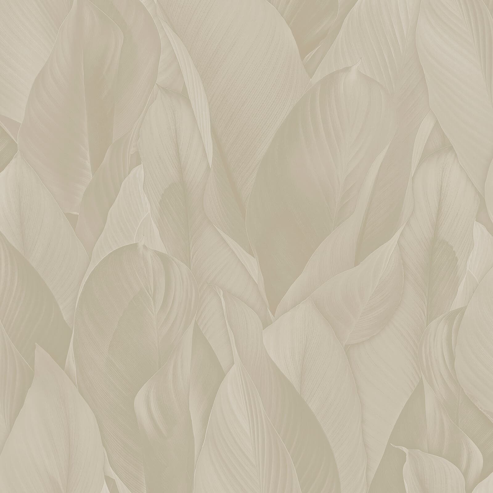Architexture, Z57708