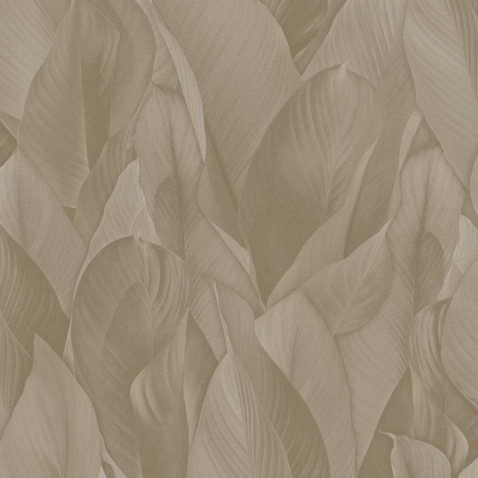 Architexture, Z57709