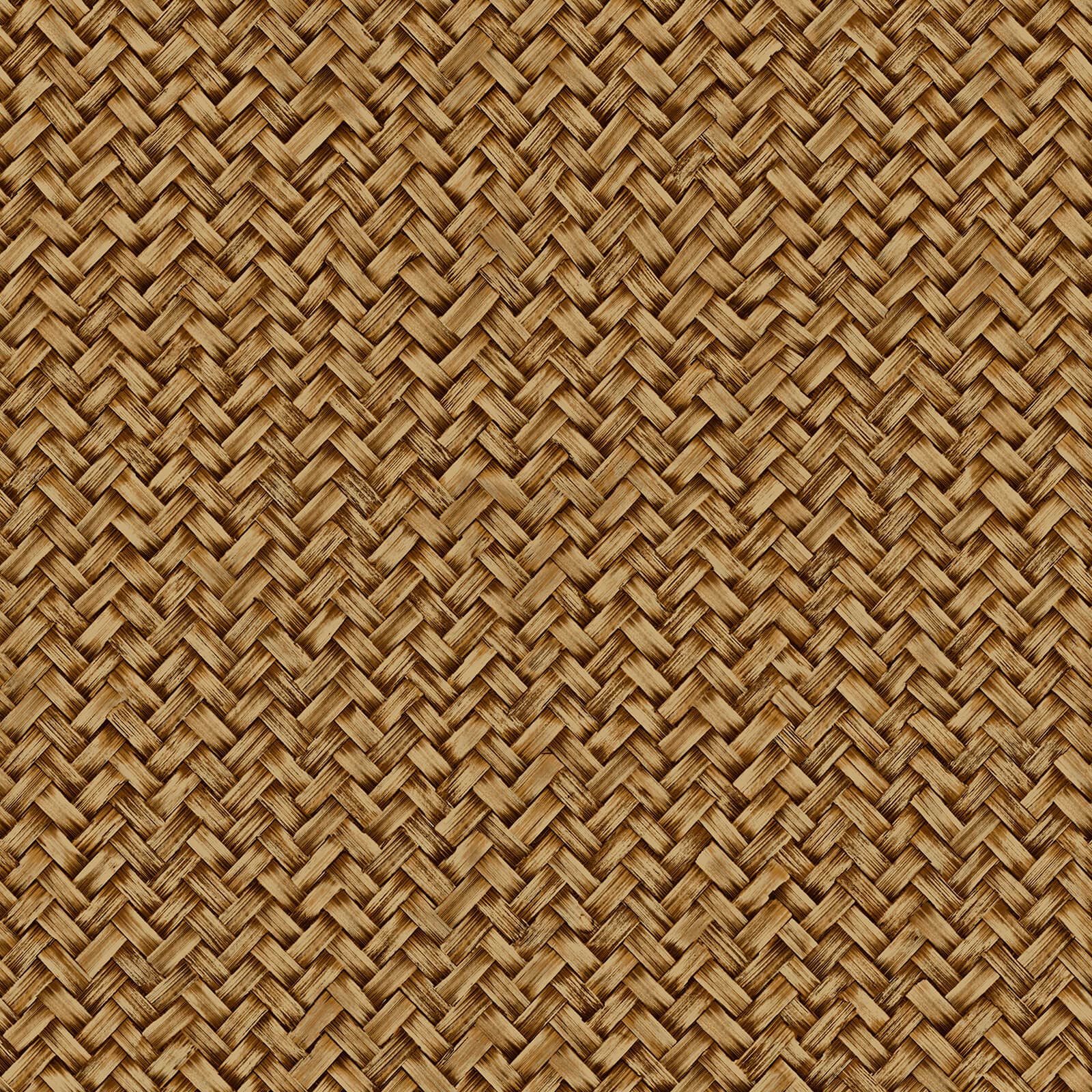 Architexture, Z57714