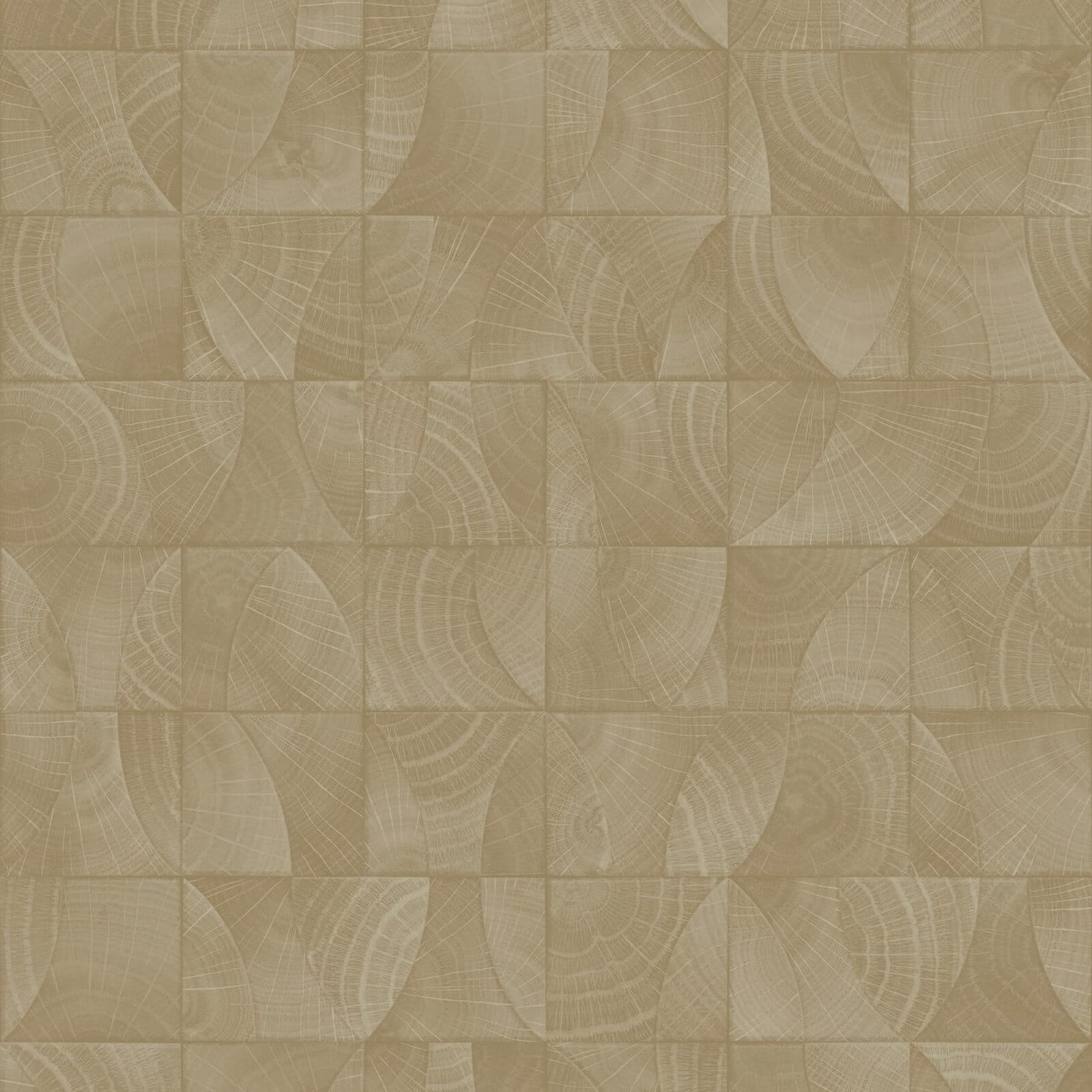 Architexture, Z57734