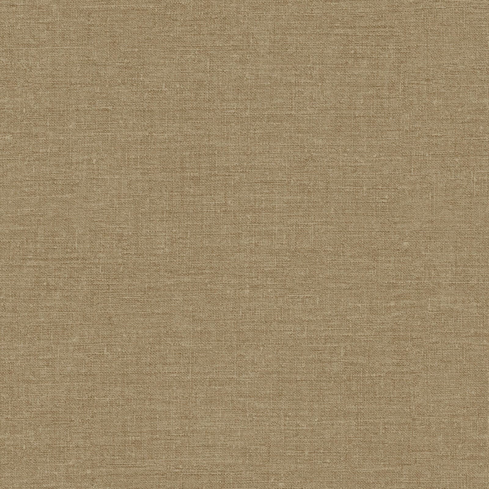 Architexture, Z57761