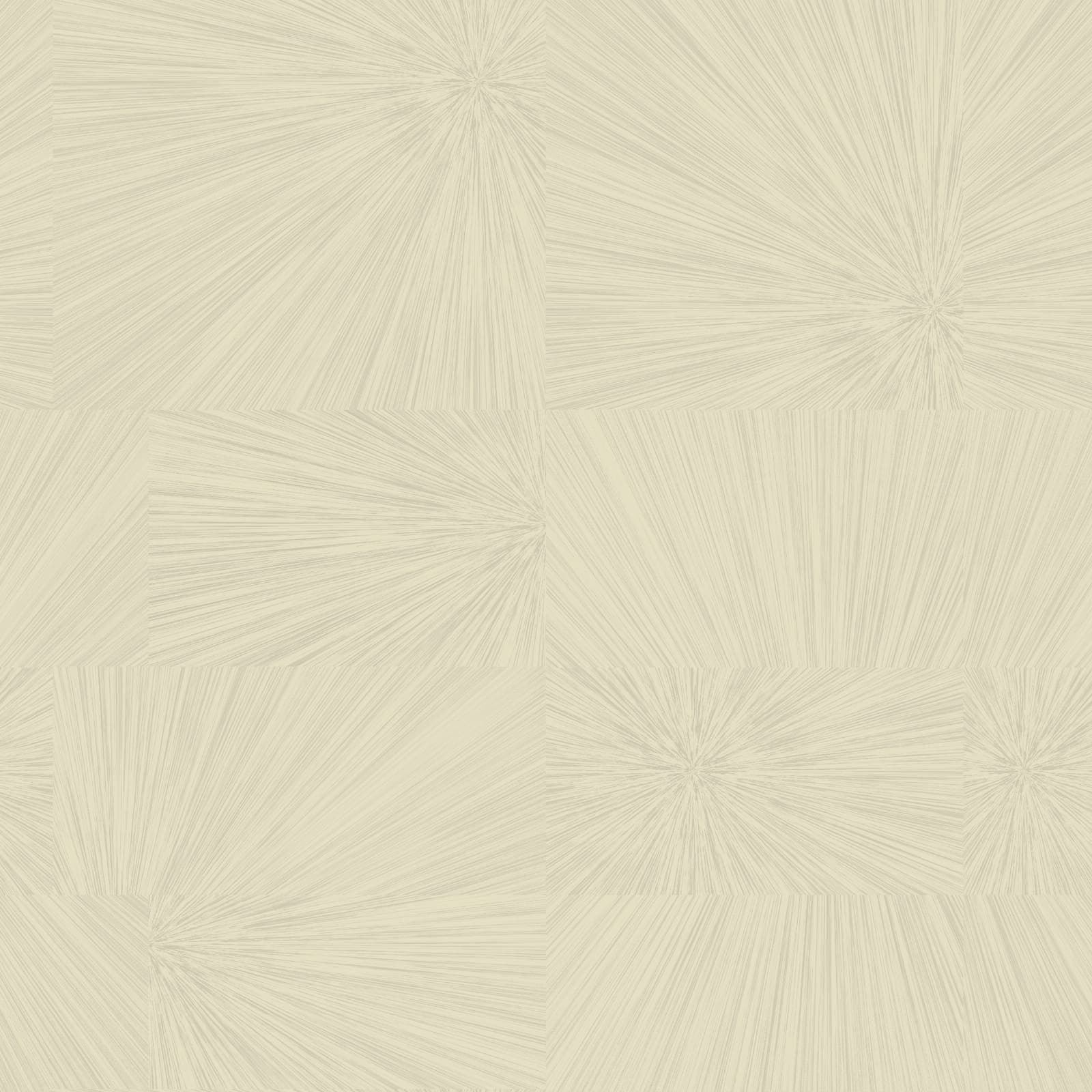 Kinetic, Z35933