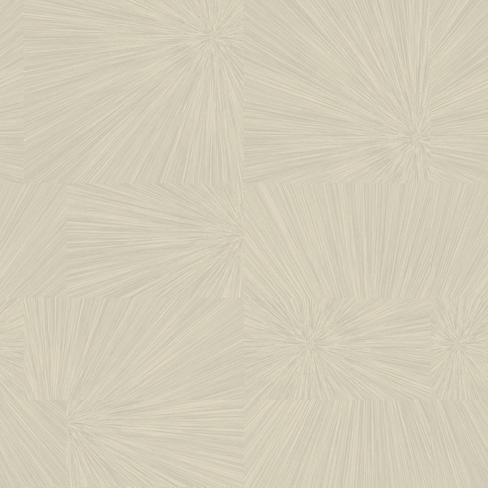 Kinetic, Z35935