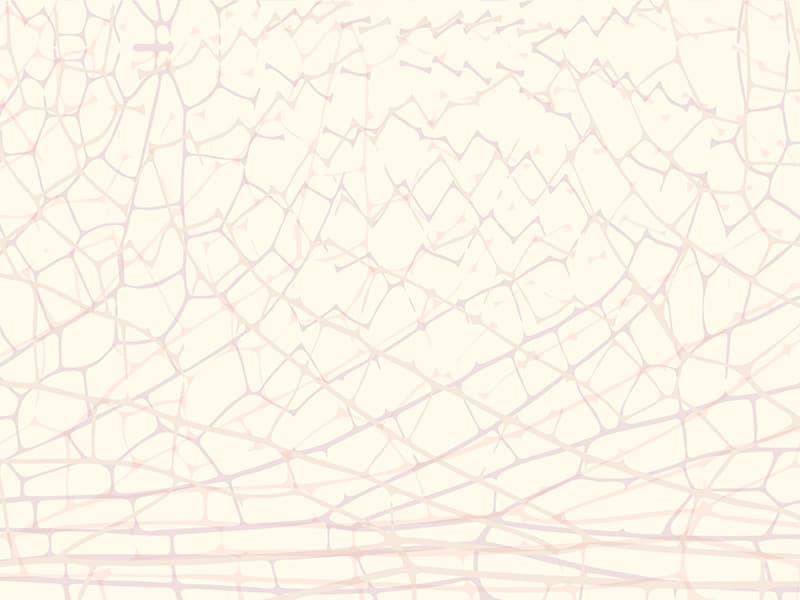 Wings, Z42666