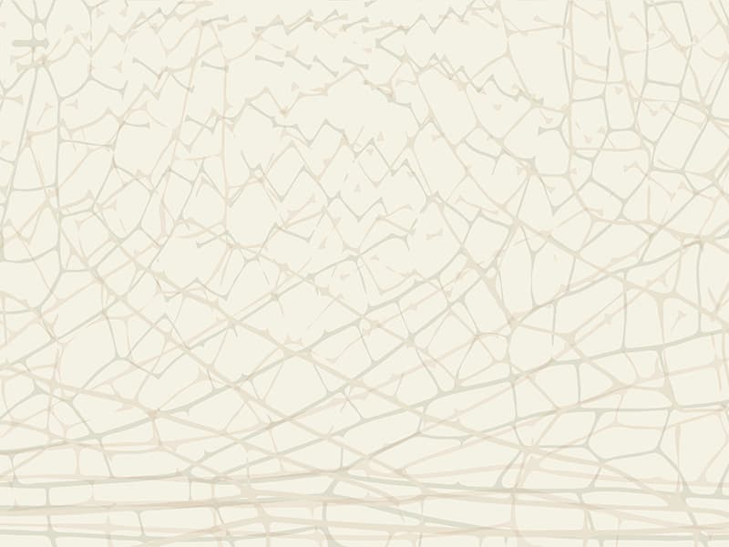 Wings, Z42667