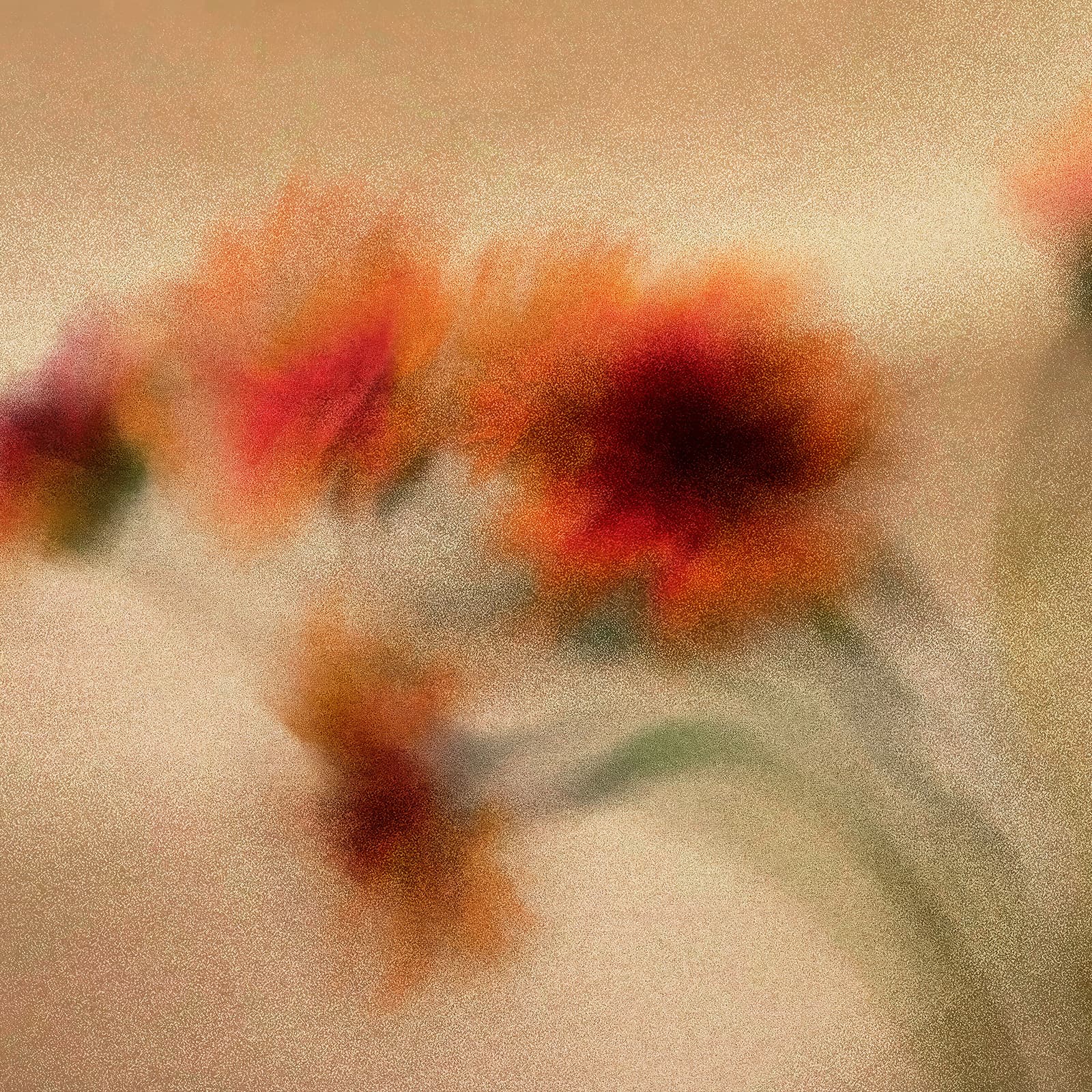 Petali, A49005