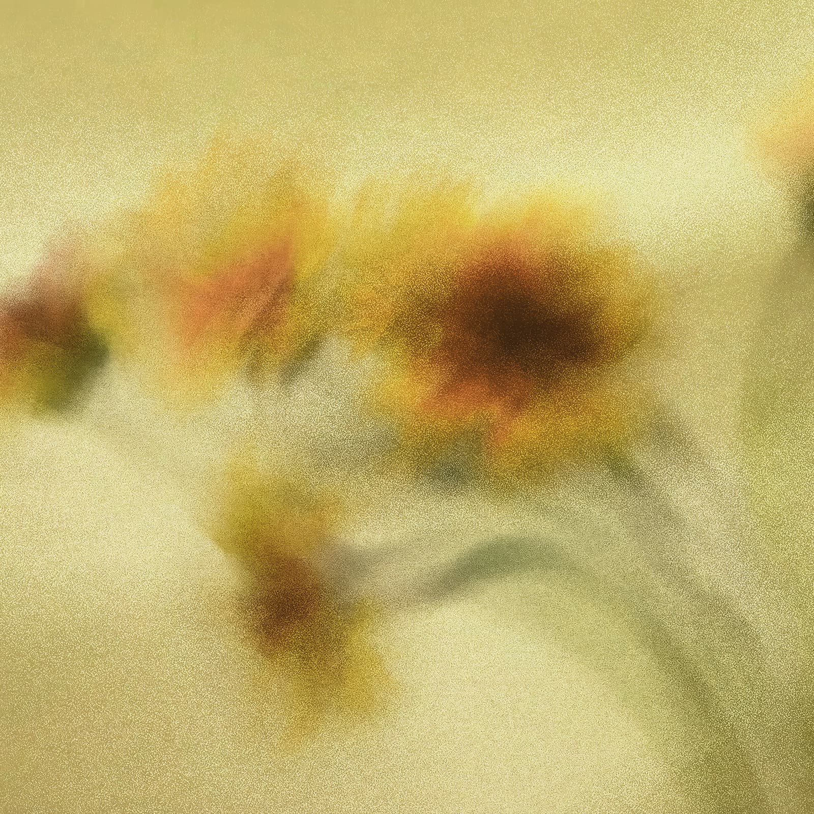 Petali, A49007