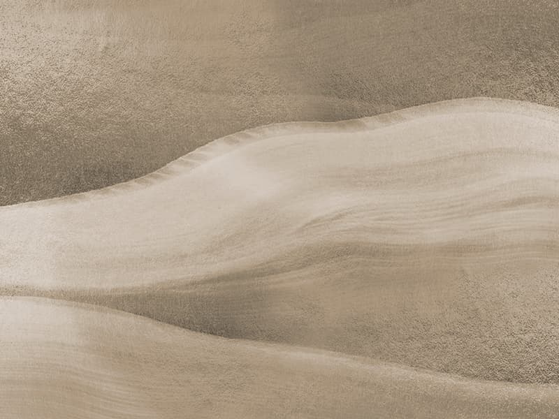 Dune, H081