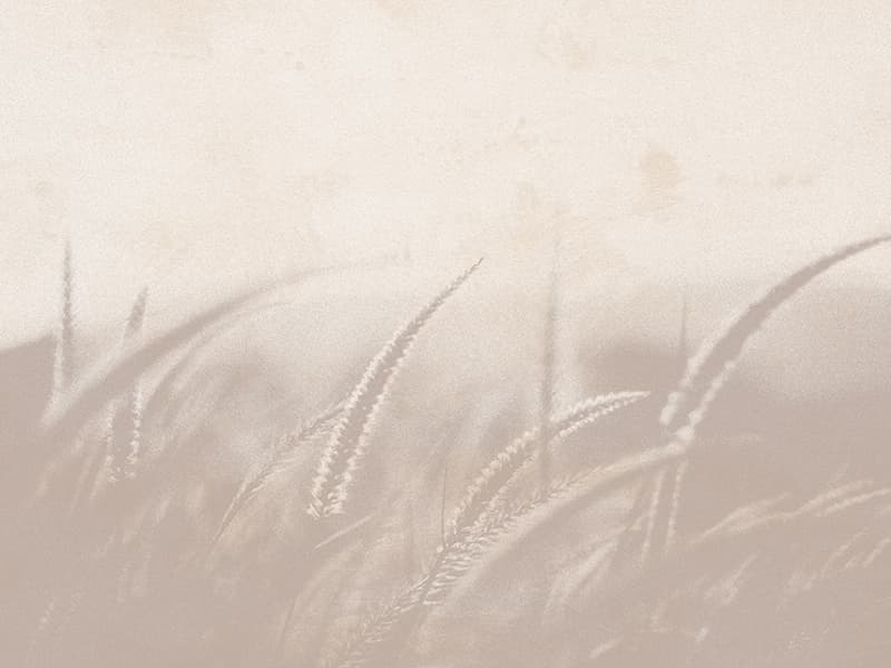 Grano, H108