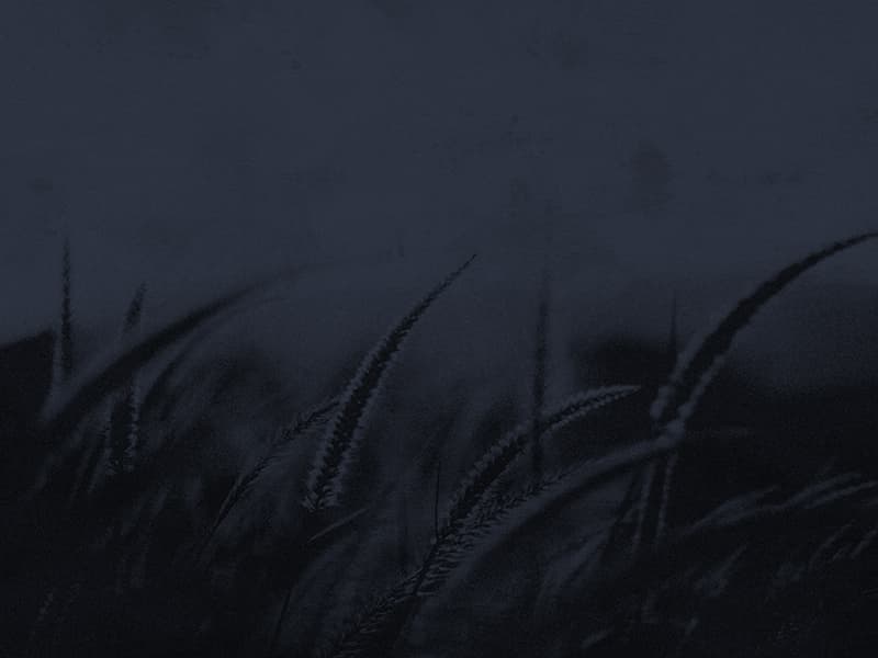 Grano, H109