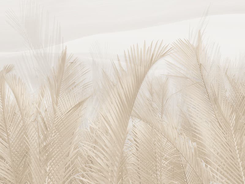 Tropical, H077