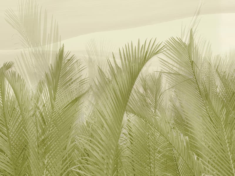 Tropical, H078