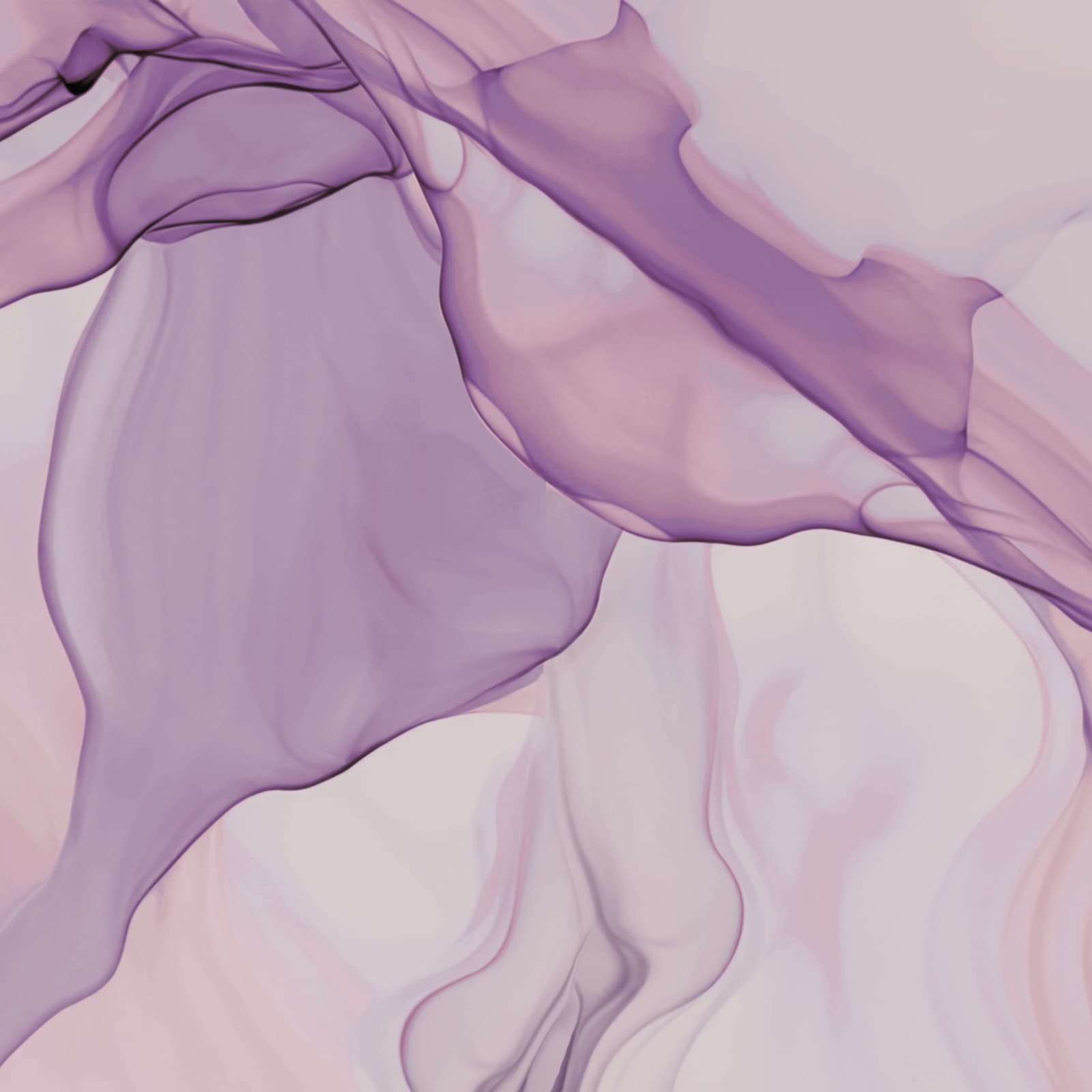 Bloom, Z15568