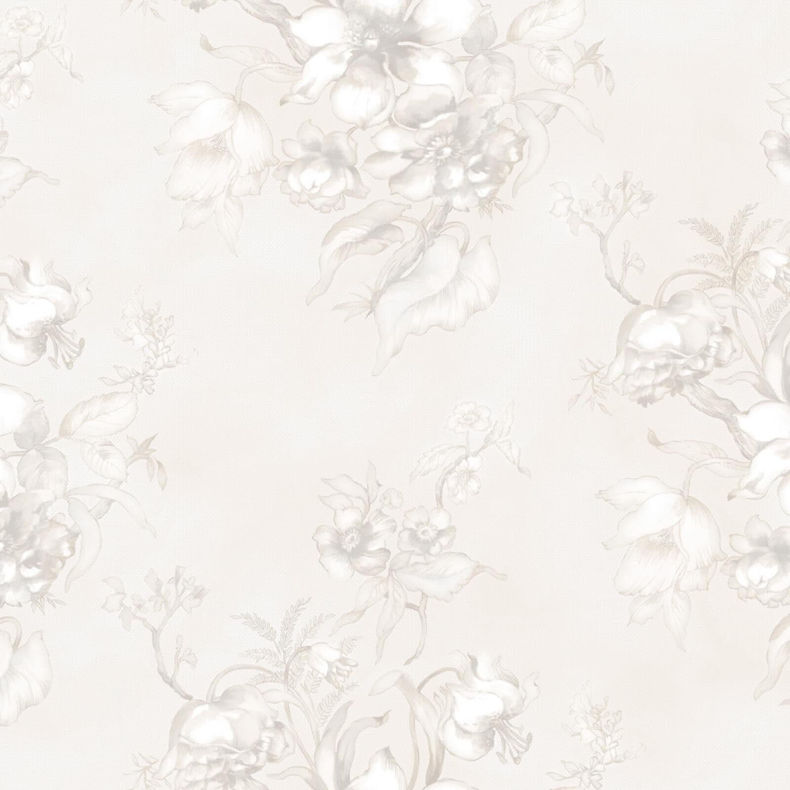 Iris, Z47915