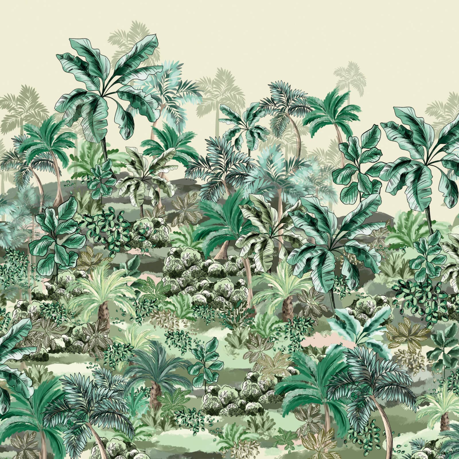 Amazonia, Z47940