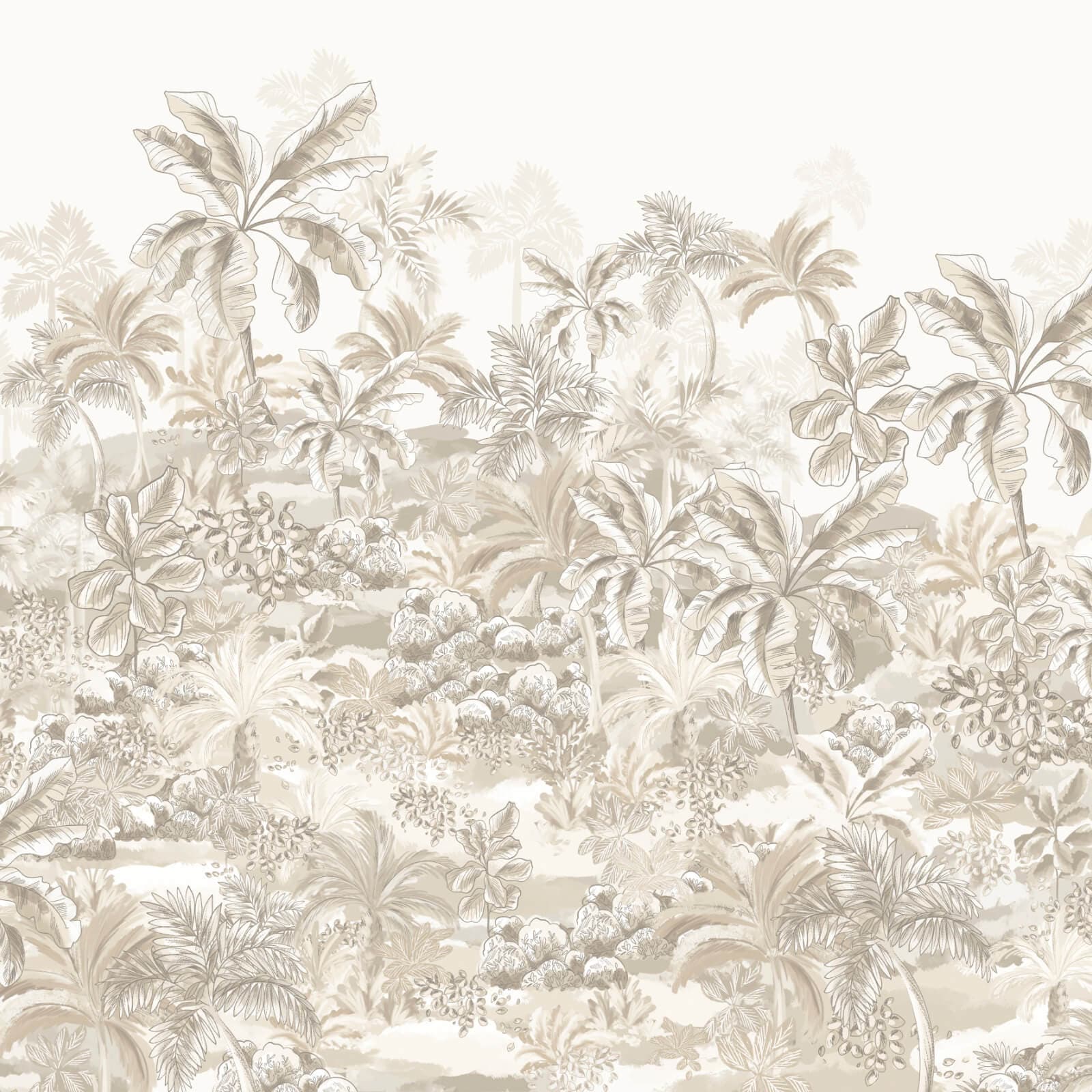 Amazonia, Z47941