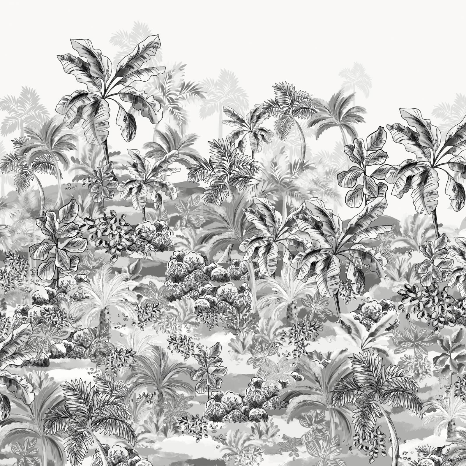 Amazonia, Z47942