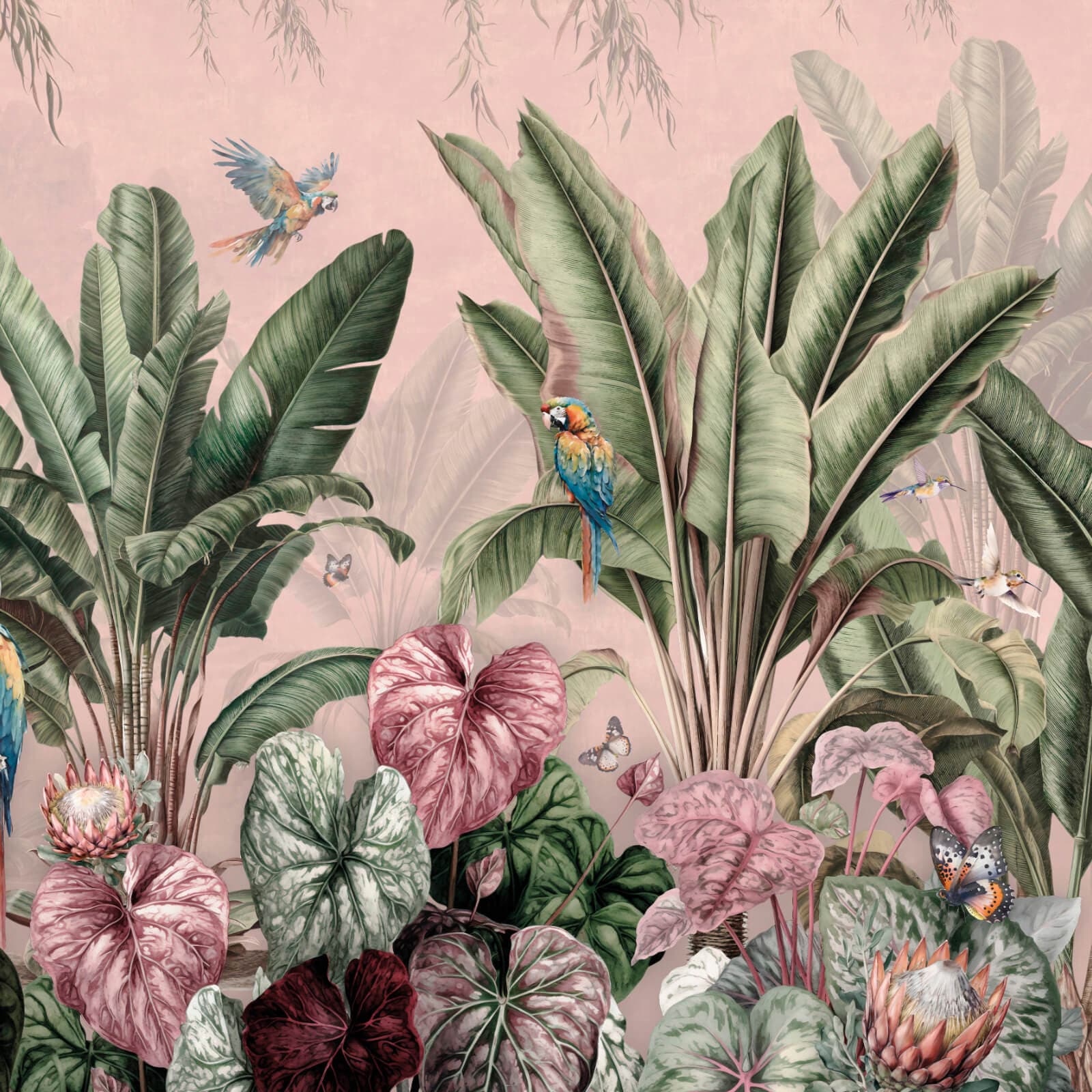 Parrots, Z47943