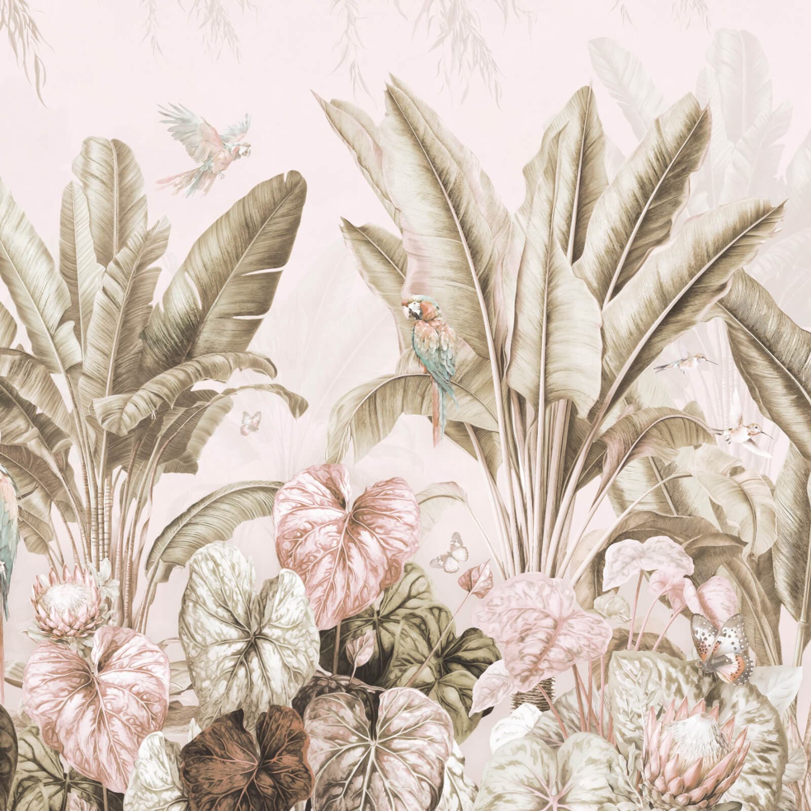 Parrots, Z47945